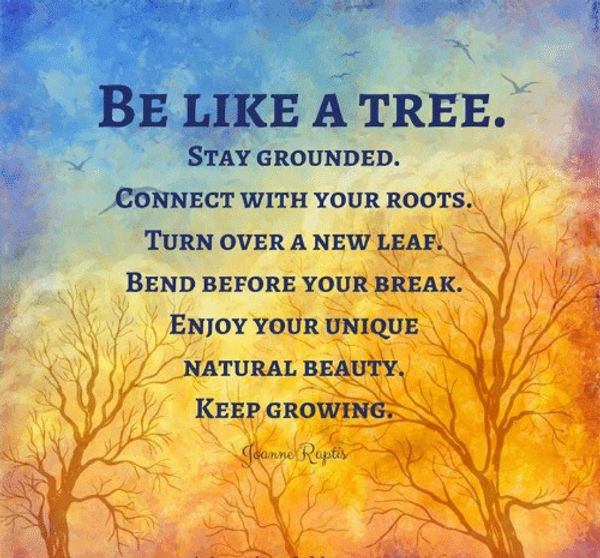 It is in the roots, not the branches, that a tree’s greatest strength lies.