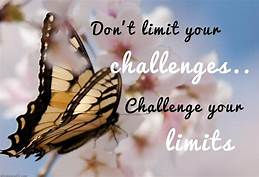 Don’t limit your challenges. Challenge your limits.