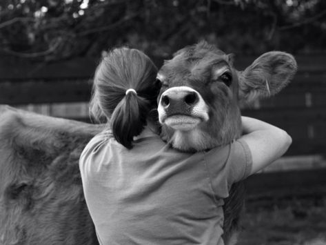 Manifiesto sobre la conciencia animal