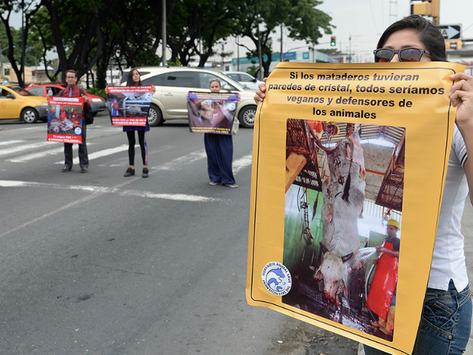 The Save Movement hizo vigilia en Guayaquil