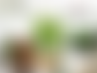 8 Plants That Thrive in the Bathroom