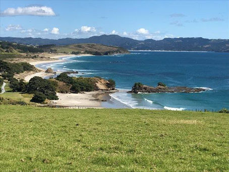 Tāwharanui Peninsula – One of My Happy Places