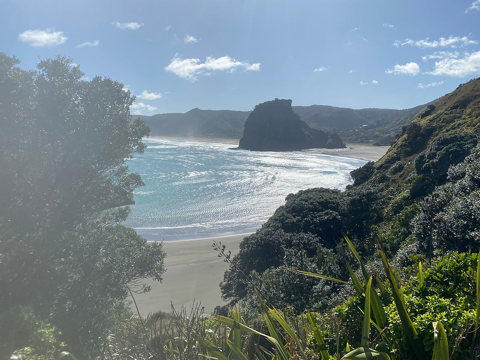 “One Day, Three Worlds: Exploring Auckland’s Wild West Coast”