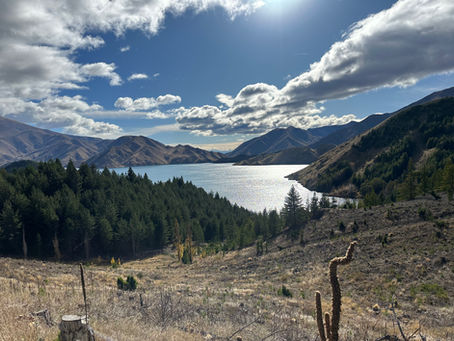 Combining Adventure with Advocacy: Our Journey on the Alps to Ocean Trail