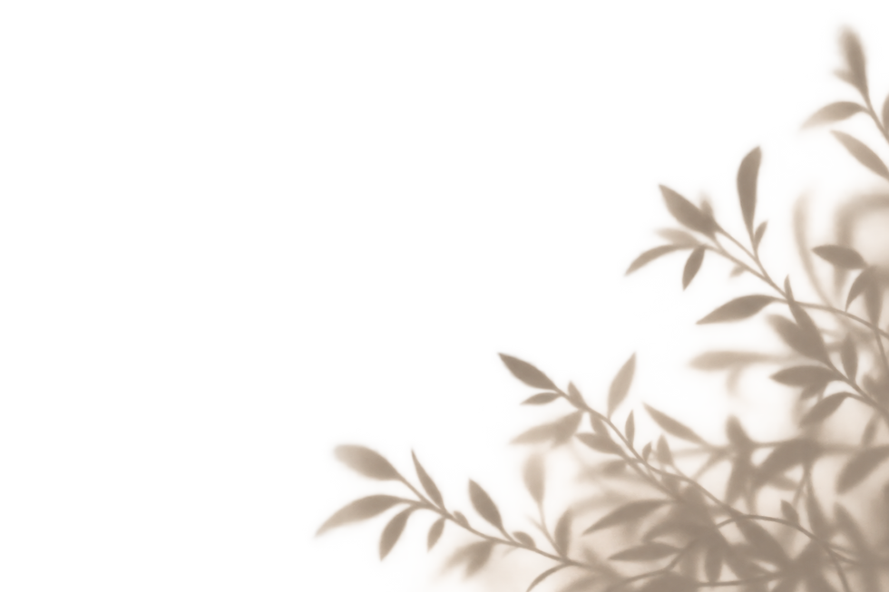 Image ChatGPT 30 sept. 2026, 15_22_03.png