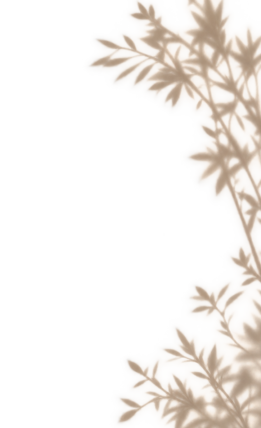 Image ChatGPT 30 sept. 2026, 00_04_04.png