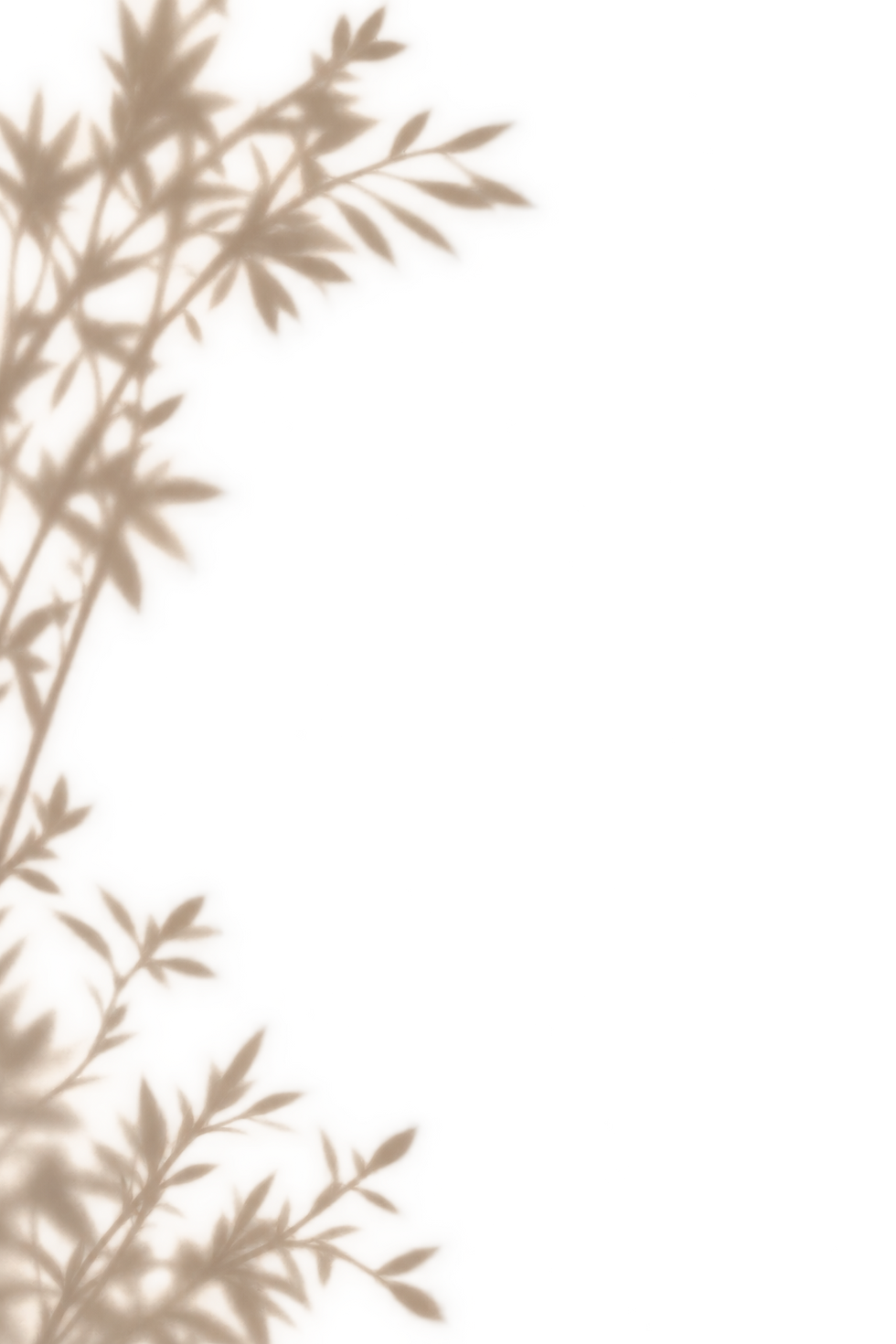 Image ChatGPT 30 sept. 2026, 00_04_04.png
