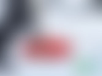 Shoveling snow from path