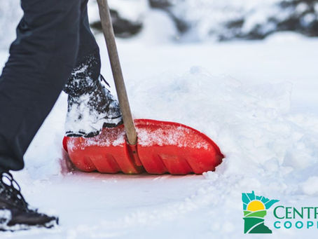 Shoveling snow from path