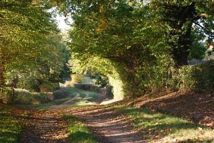 Ferme Allier annonce haies.jpg