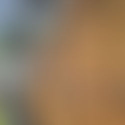 Tuuloksen kellotapulin paanukaton uusinta v.2025