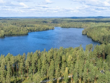 Pannujärven suojeluyhdistys