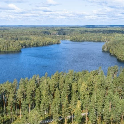 Pannujärven suojeluyhdistys