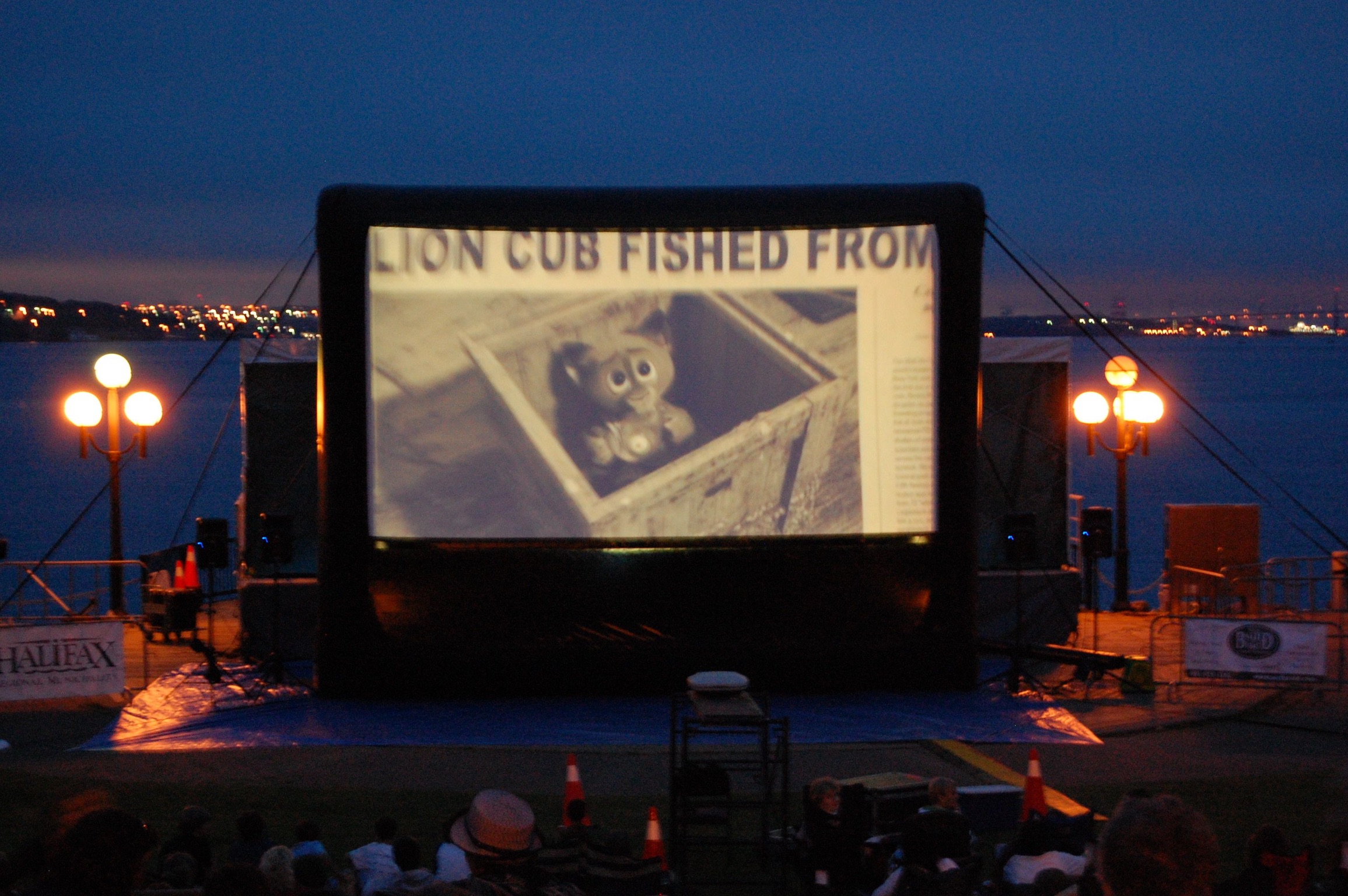 27' Screen