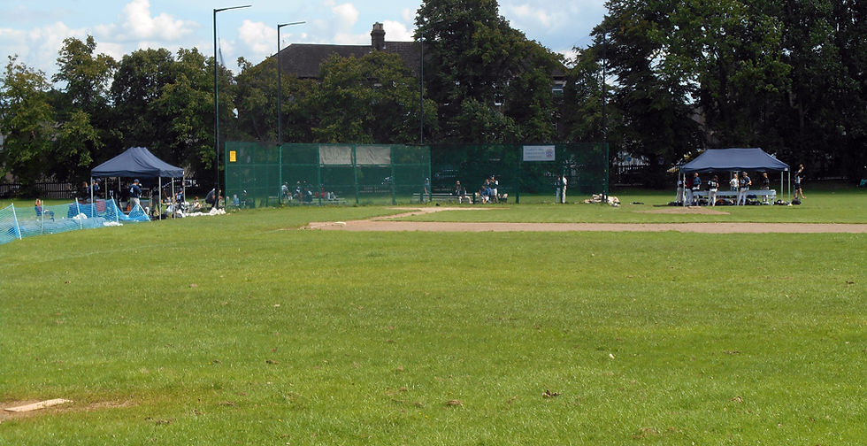 London Mets Adult Spring Training