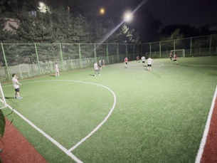 Artificial Grass Football Field Cost Calculation - Full Breakdown