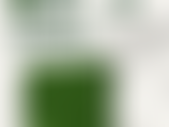 Grass Fence by Fency Grass