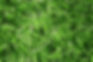 Aprimorando o design paisagístico com soluções de grama sintética e cercas de grama Globo