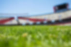 Globo Artificial Turf