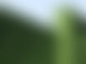 Artificial Grass Fence