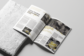 Interview with Viktor Timofeev