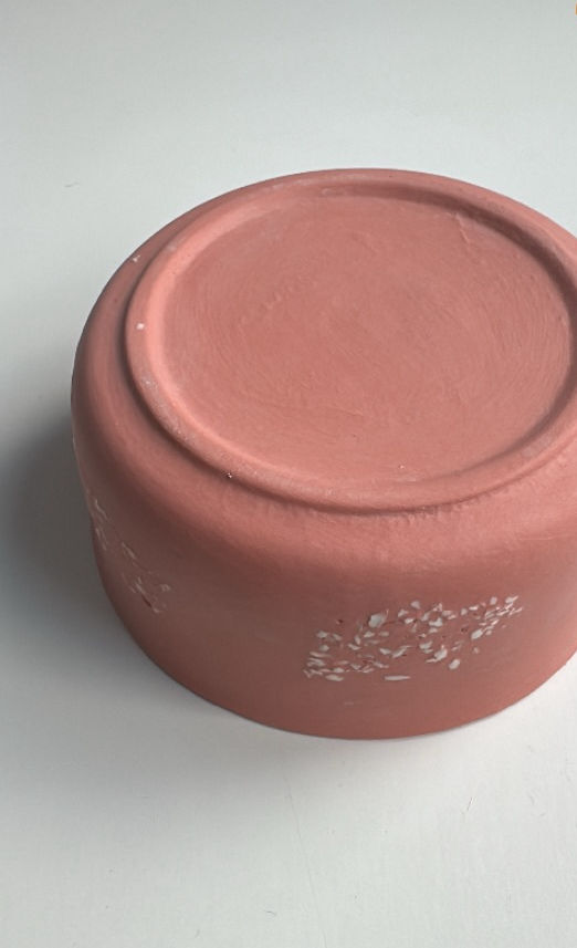Miniaturbild: Bowl Coral