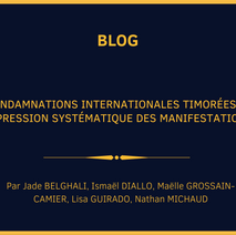 Tchad :  condamnations internationales timorées face à la répression systématique des manifestations