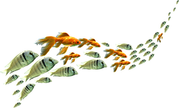 0_12a111_2fd8e016_orig.png