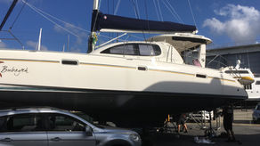 Electric Leopard Catamaran