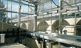 Botanischer Garten, Bern 2013