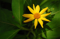 Samuel Lebrun - réalisateur