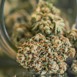 Washington's Social Equity Expansion: More Opportunities for Cannabis Entrepreneurs