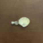 Pearl Hair Clip