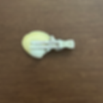 Pearl Hair Clip