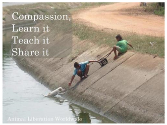 Day #2 of '12 Days of The 12 Cs' - COMPASSION