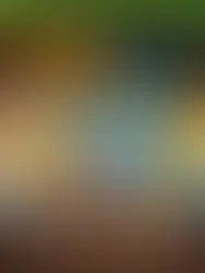 "Wrap the Read" Holiday Gift Wrapping Pop Up Fundraiser