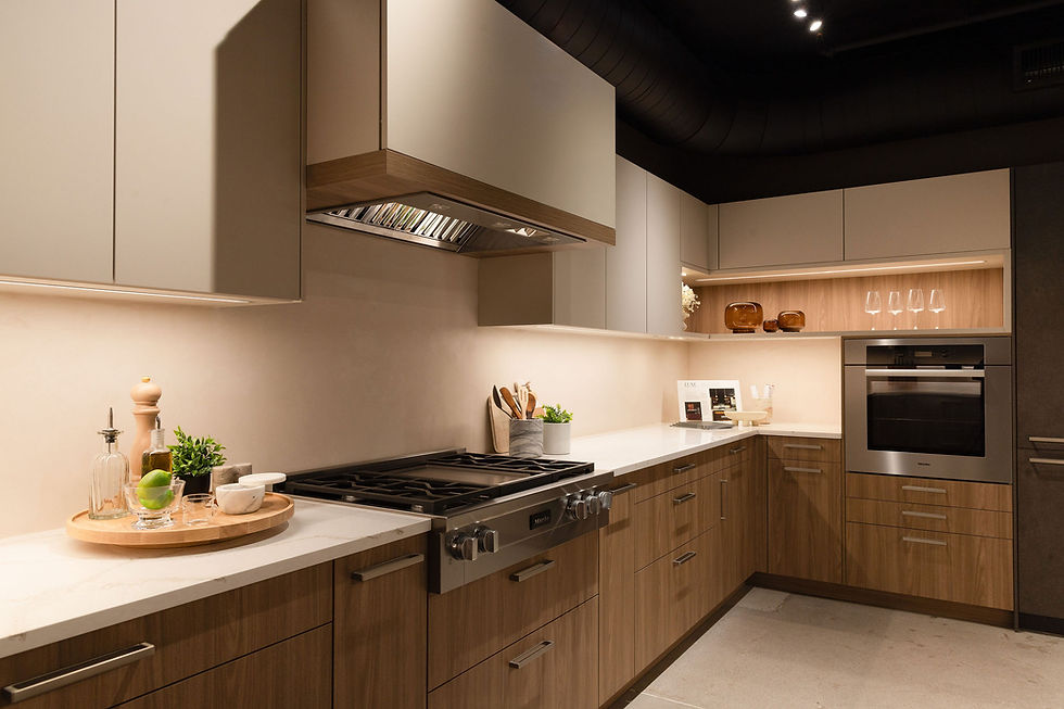buy kitchen cabinets