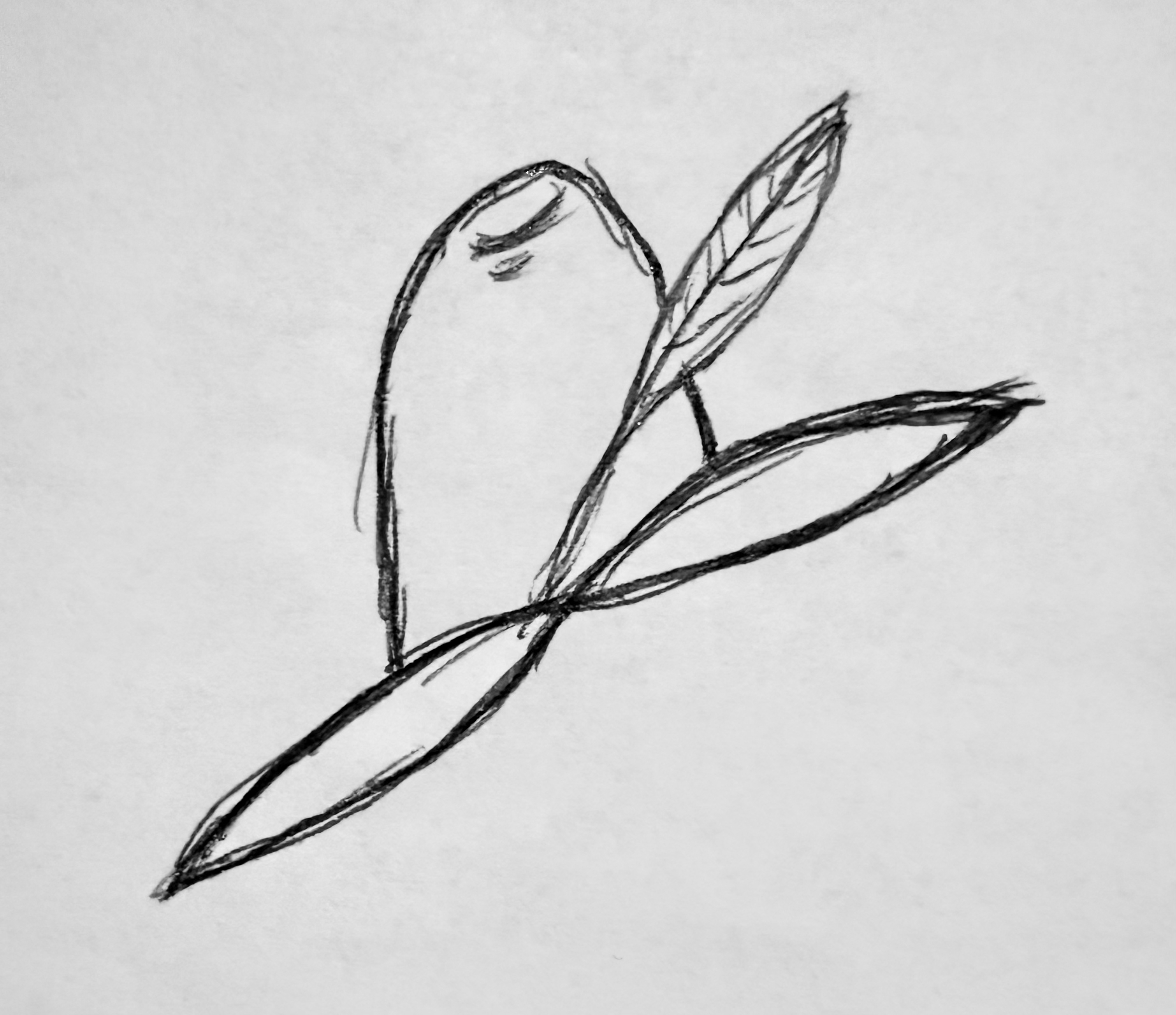 Writer: carterconstruction80