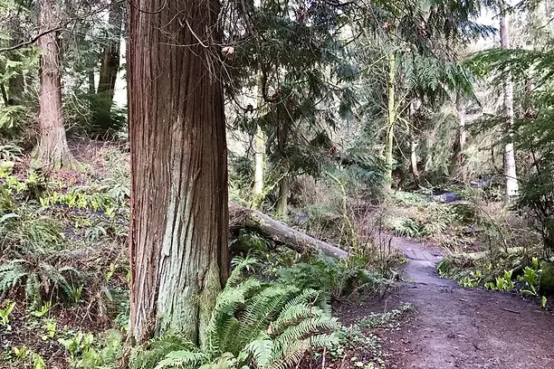 Schmitz Preserve Park.webp