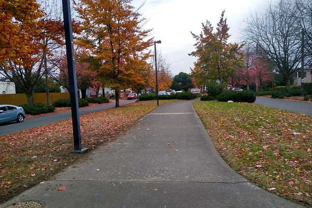 Beacon Hill Ave Trail.jpeg