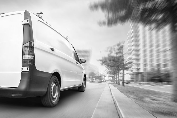 iStock-1372495129 black and white.jpg