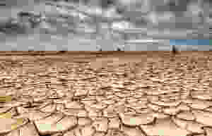 or_201752582656