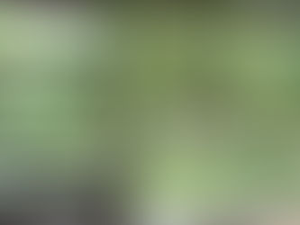 Tanabata: A Night to Meet Our True Wishes