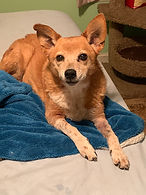 Tippy 2.2.jpeg