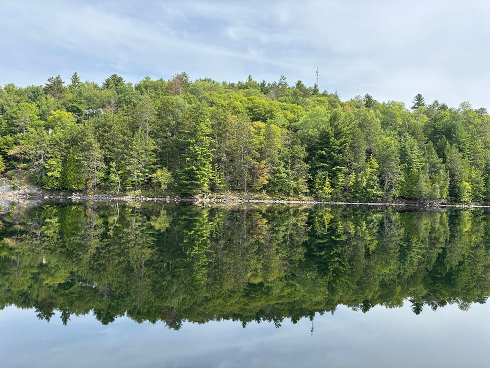 God's Majestic Creation (holidays up North)
