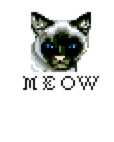 siamese meow_edited.jpg