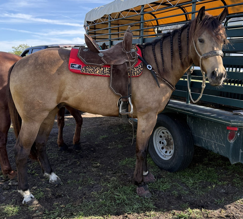 thumbnail_IMG_7778 (1)_edited