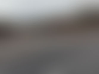 Will Sussex County gets serious about forest protection?