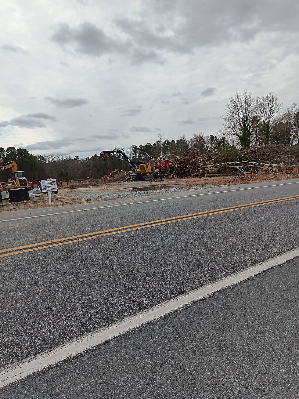 Will Sussex County gets serious about forest protection?