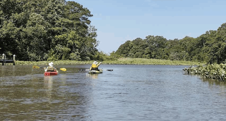 2024 River Report Card is here!